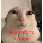 Tropa Do Vou Dormi