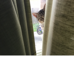 The danger lives here