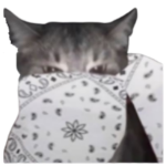 Derpyy