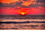 Misty Sunset