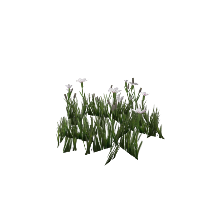 Wildflowers