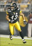 troy polamalu