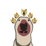 Dog Warehouse