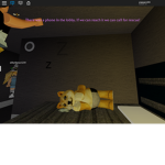 DEMO DOGE