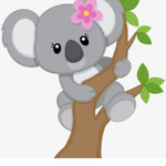 Koala cub