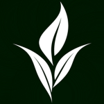 Swift Retail Stores