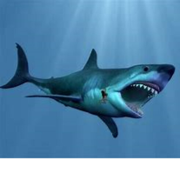 SCP-7890 [Shark]