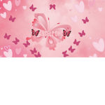 AngelzDHC