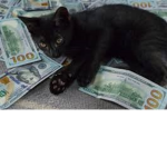Sowl Money