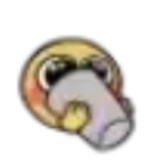 UGC HEAD.