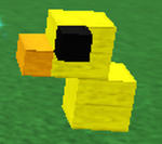 KIWI(키위)