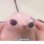 CABANITOS