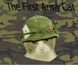 Cat Army Ranking Place