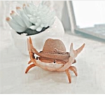 Octapoo