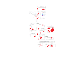 MAP TEST