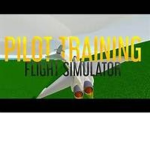 Plane Landing Competitions