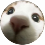 Theweirdcore chat