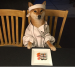 perro samurai