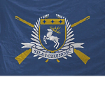 LDF | Livonian Defense Force
