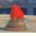 |+*~strawbfroggy vids~*+|
