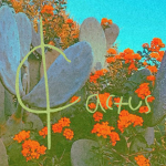 ¢actus