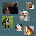 the dogss group