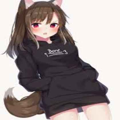 wolf hoodie Roblox decal