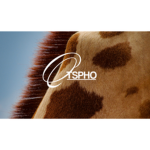 qtspho