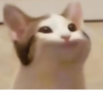 Buff Pop Cats Army