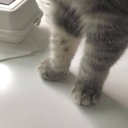 ♡