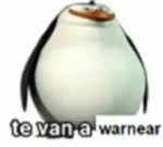 Pico , ROBUX