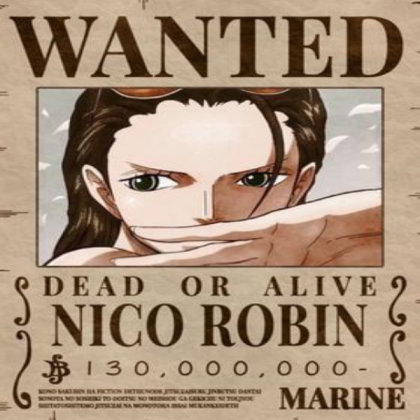 Robin wanted poster Roblox decal