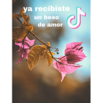 Los que asen el a con su nv