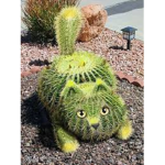 cactuscat nation