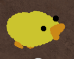 Duck confit