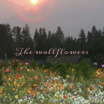 The wallflowers