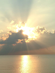 Ray's Sunshines
