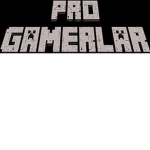 PROGAMERTÜRK