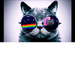 TheSpaceCats