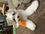 Best friend talking group!