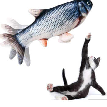 🐟