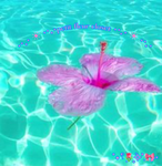 *-*petit fleur*-*