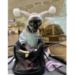 Xdum_vxbesjrX