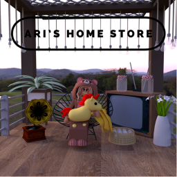 ari's home store