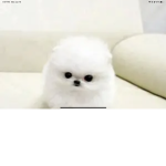 Śłàÿmàîdš