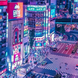 ¥