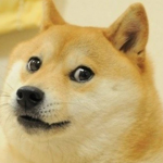 The Helpful doge :)
