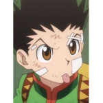 hunterxhunter anime