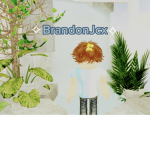 BrandonJcx