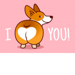 The doggy doge